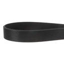 Cantek 370M Edgebander Belt, 10 Rib, 23" (LJ023100)