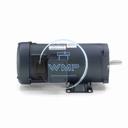 Leeson SCR Motor, 1 HP, 90V, 1750 RPM, S56C Frame, TEFC, 108022.00