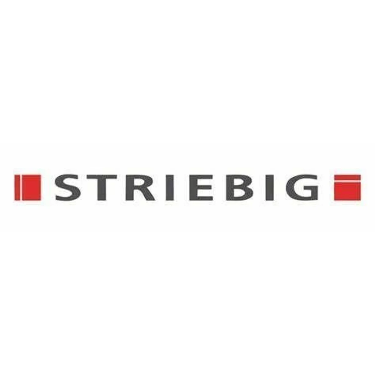 Striebig Panel Saw Parallel Guide Set, (990.497) - Image 1