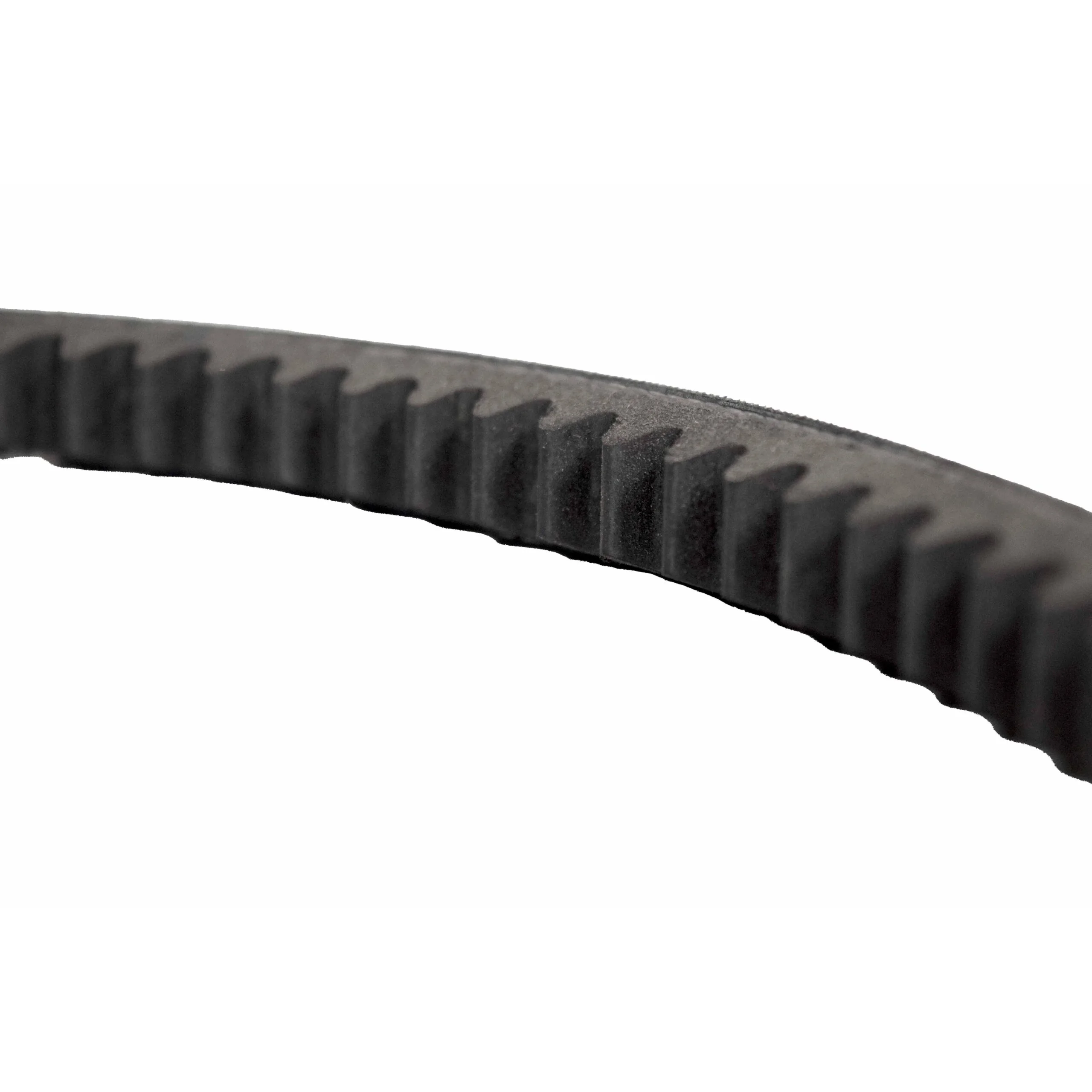 Laguna P12|10 Panel Saw Main Motor Drive Belt, (207141) - Image 3
