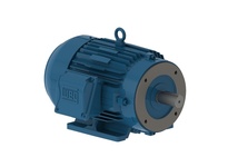 WEG, 00318et3e182tc-w22 3hp 1800 3 60 208-230/460v Tefc-nema Pr, (00318ET3E182TC-W22)