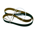 Cantek Edgebander Belt, 20mm x 900mm, (ST)