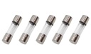 .63Amp, 250V Fuse for Striebig Vertical Panel Saw, 5mm x 20mm