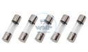 .63Amp, 250V Fuse for Striebig Vertical Panel Saw, 5mm x 20mm
