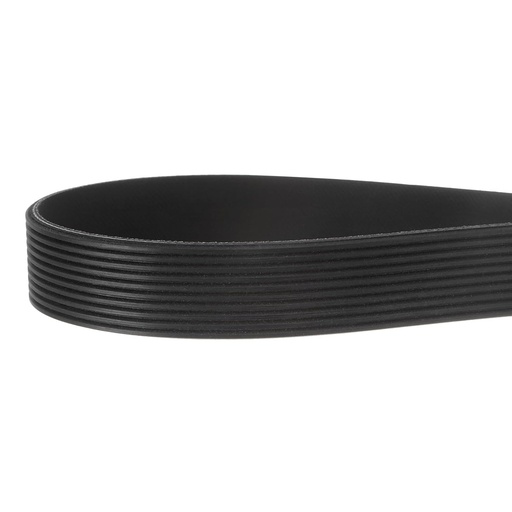 Cantek 370M Edgebander Belt, 10 Rib, 23" (LJ023100)